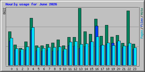Hourly usage for June 2026